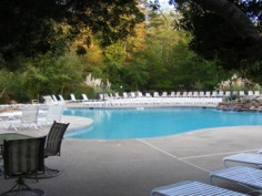 Paradise Valley Resort & Club outdoor swimming pool in Dawsonville, Georgia