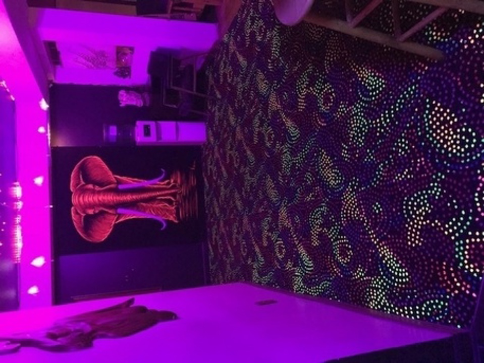 Neon-lit interior with elephant wall art