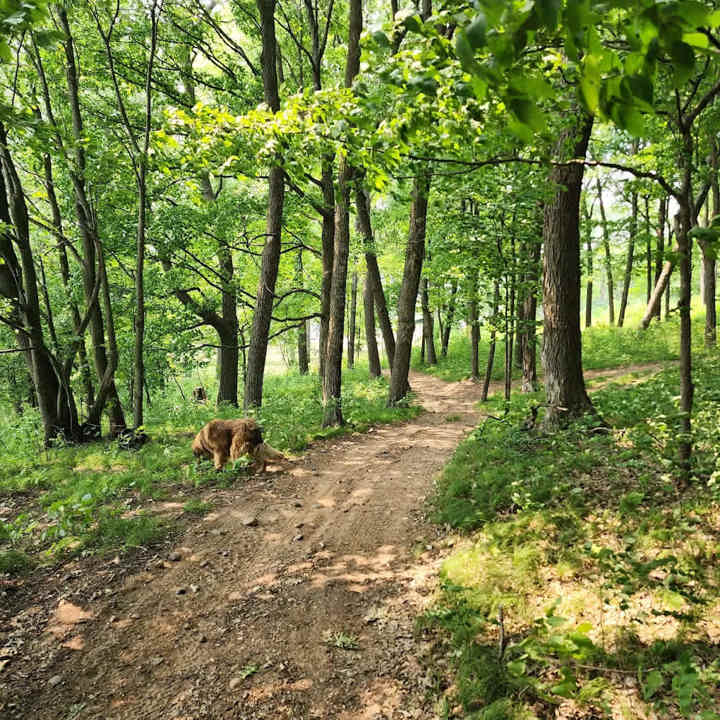 Freedom Valley Campground photo 3