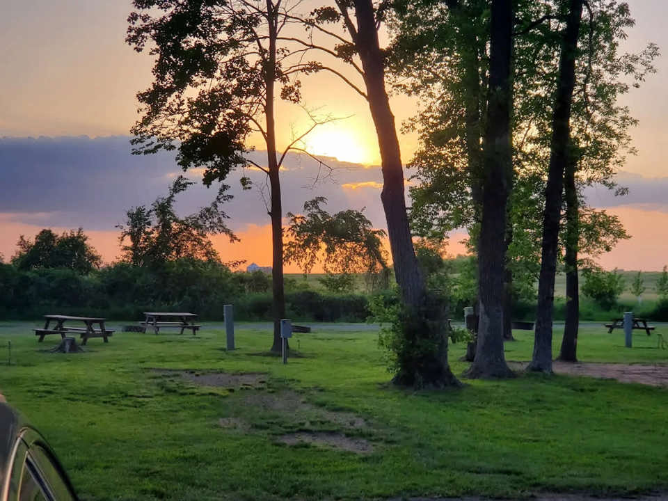 Sunset through the trees and picnic area