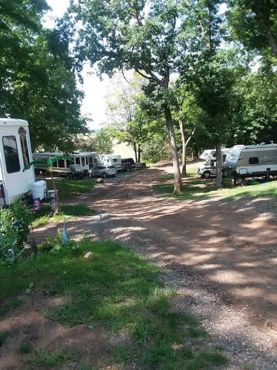 RV camping area among trees