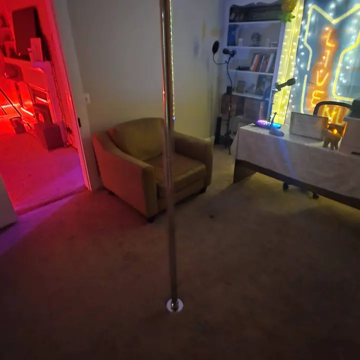 Lounge dance pole room with lounge seating and colorful lighting