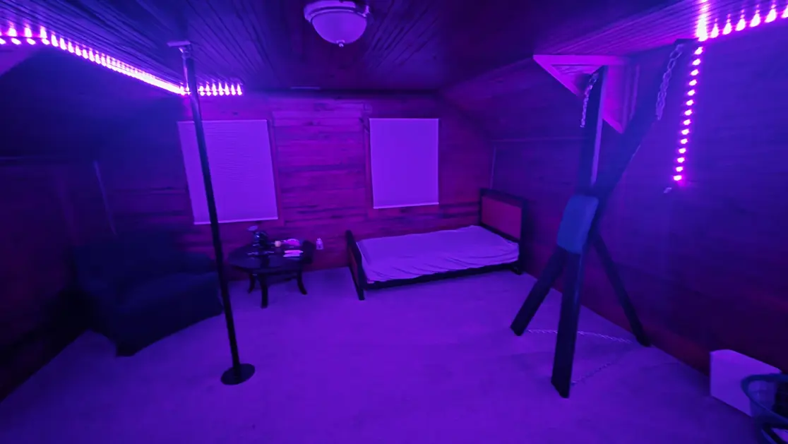Lounge purple-lit BDSM playroom with bed, dance pole and bondage equipment